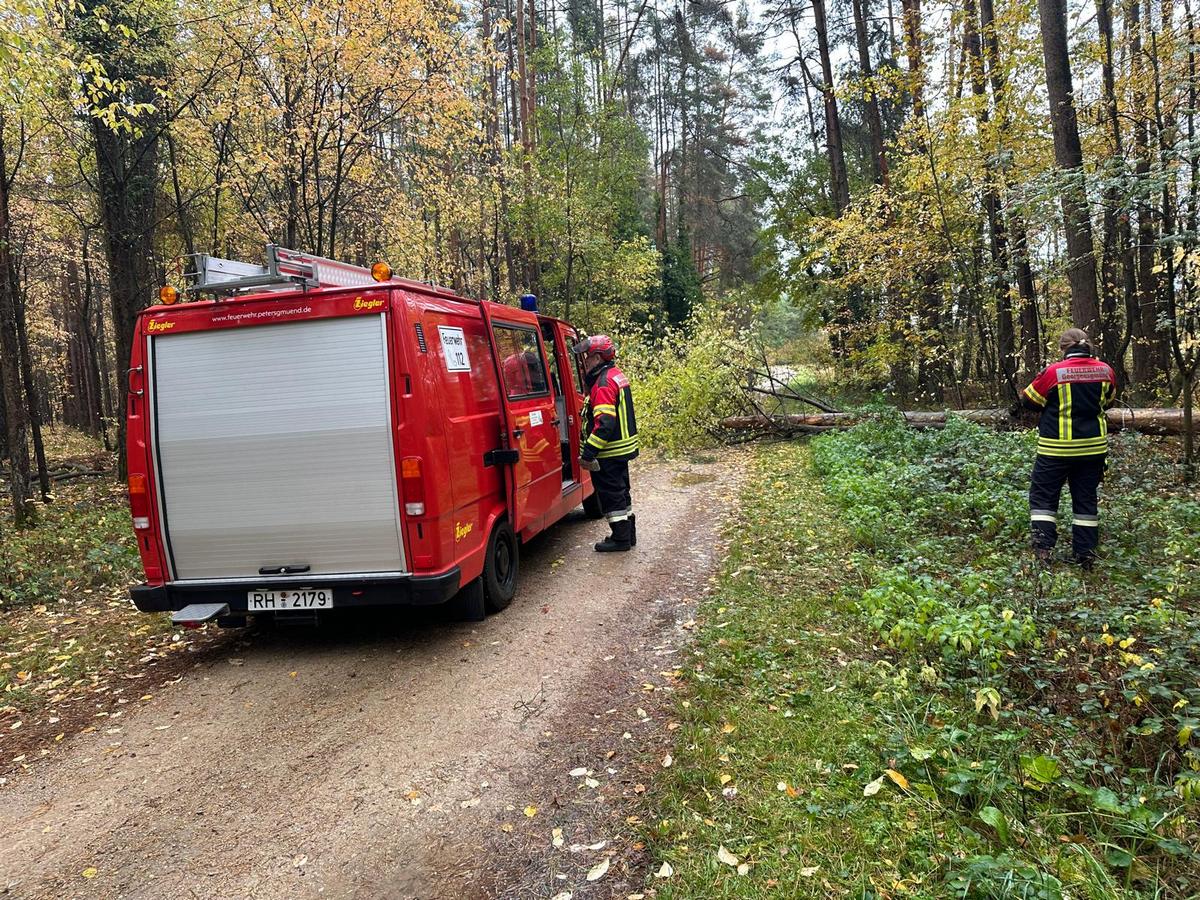 einsatz baum 2 6
