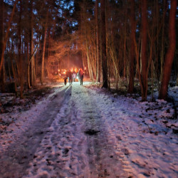 20260206 nachtwanderung