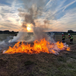 waldbranduebung juli 26